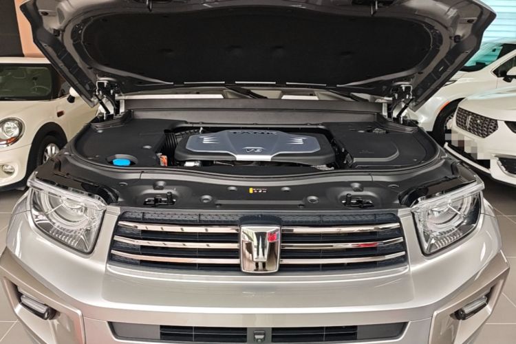 Used Tank 700 New Energy 2024 Hi4-T Ultimate Edition Engine Bay