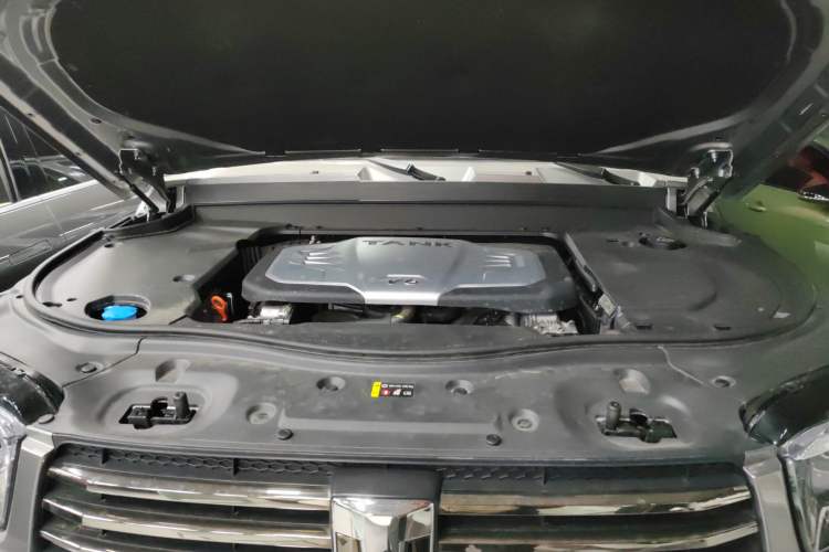 Used Tank 700 New Energy 2024 Hi4-T Extreme Edition Engine Bay