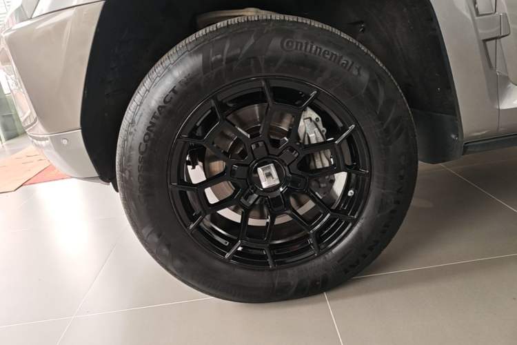 Used Tank 700 New Energy 2024 Hi4-T Ultimate Edition Exterior 4