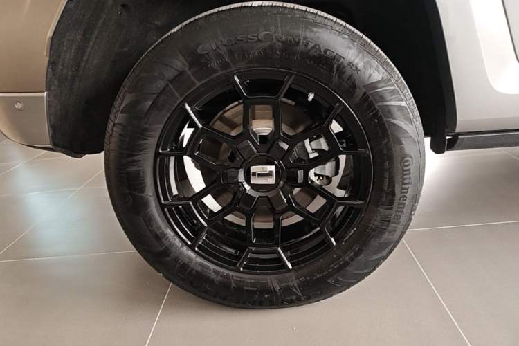 Used Tank 700 New Energy 2024 Hi4-T Ultimate Edition Exterior 5