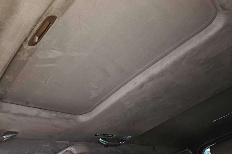 Used Tank 700 New Energy 2024 Hi4-T Extreme Edition Headliner