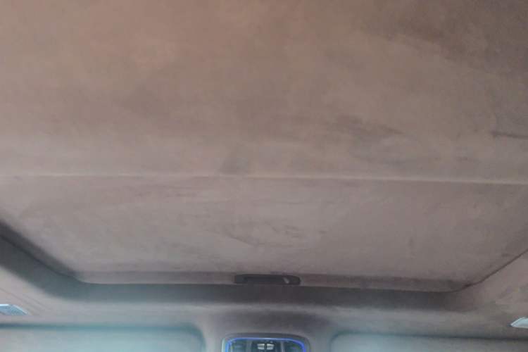 Used Tank 700 New Energy 2024 Hi4-T Extreme Edition Headliner