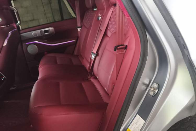 Used Tank 700 New Energy 2024 Hi4-T Extreme Edition Left Rear Seat