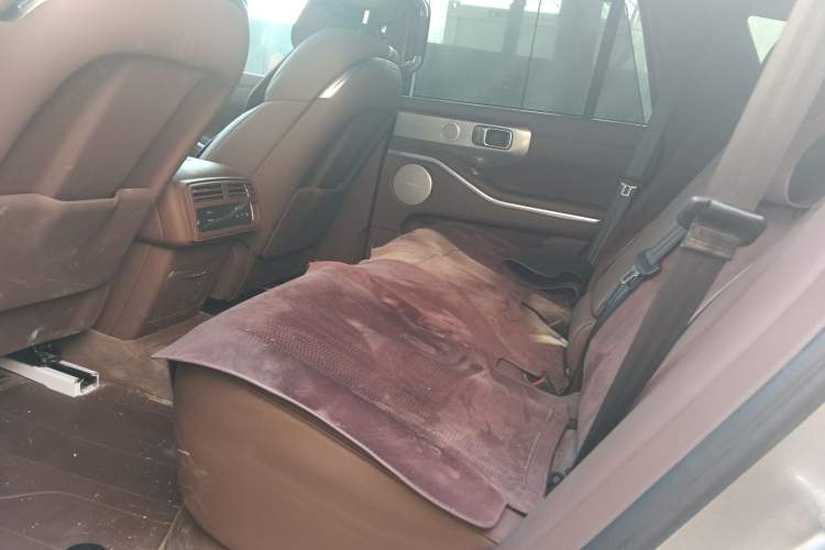 Used Tank 700 New Energy 2024 Hi4-T Extreme Edition Left Rear Seat