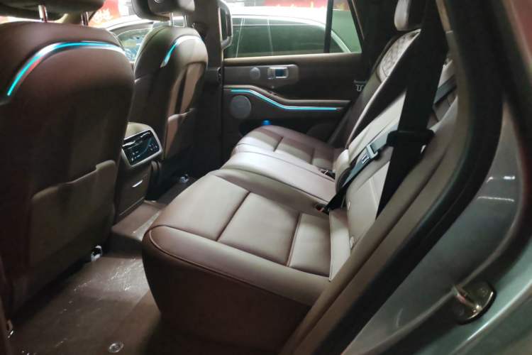 Used Tank 700 New Energy 2024 Hi4-T Extreme Edition Left Rear Seat