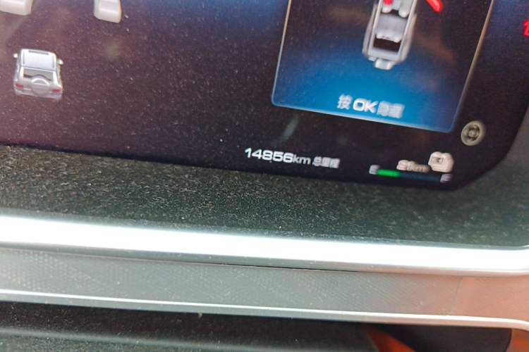 Used Tank 700 New Energy 2024 Hi4-T Extreme Edition Odometer Close Up
