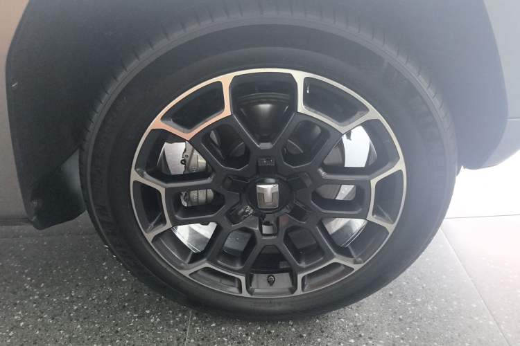 Used Tank 700 New Energy 2024 Hi4-T Extreme Edition Exterior 4