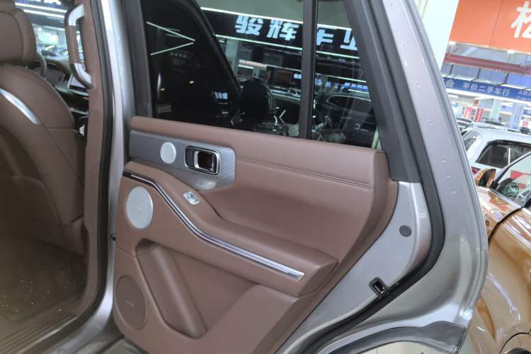 Used Tank 700 New Energy 2024 Hi4-T Ultimate Edition Right Rear Door Interior