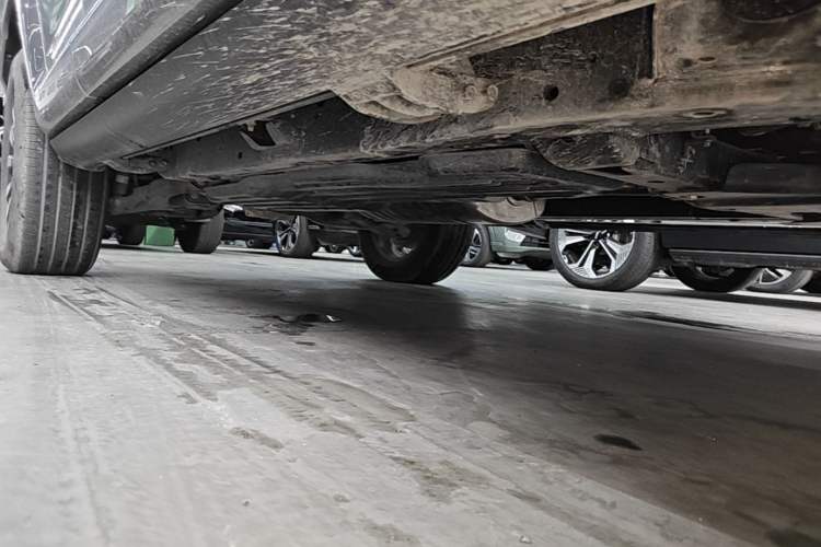 Used Tank 700 New Energy 2024 Hi4-T Extreme Edition Right Side Sill