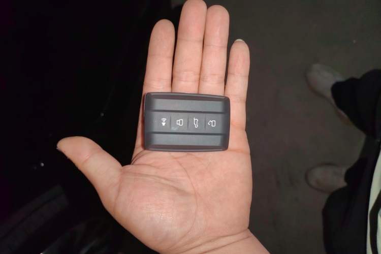 Used Tank 700 New Energy 2024 Hi4-T Extreme Edition Vehicle Key