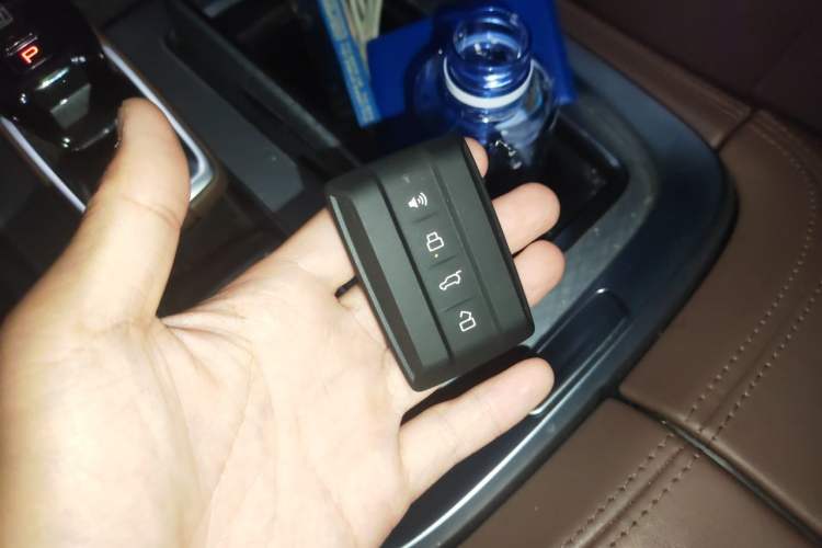 Used Tank 700 New Energy 2024 Hi4-T Extreme Edition Vehicle Key