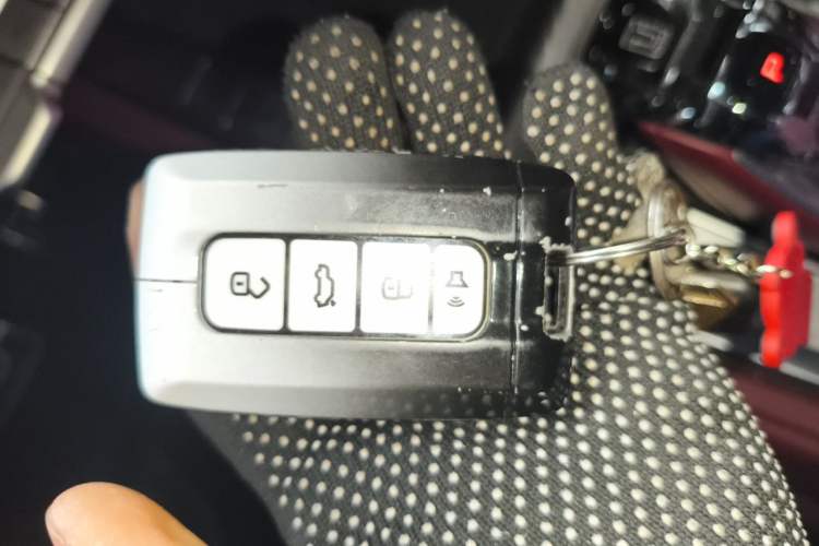 Used Tank 700 New Energy 2024 Hi4-T Extreme Edition Vehicle Key