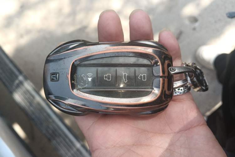 Used Tank 700 New Energy 2024 Hi4-T Extreme Edition Vehicle Key