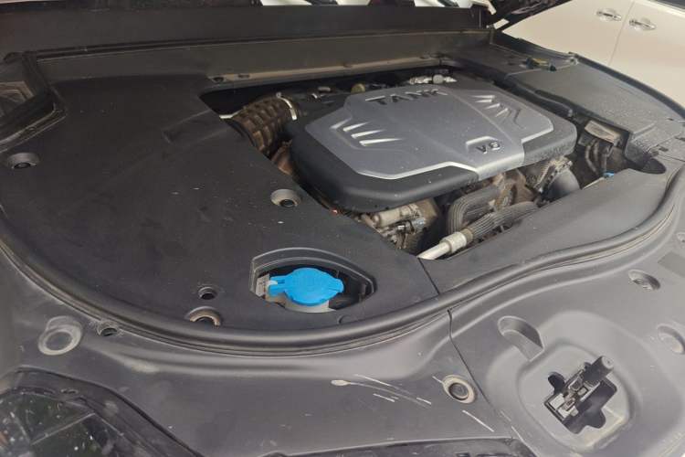 Used Tank 700 New Energy 2024 Hi4-T Extreme Edition Engine Bay Right