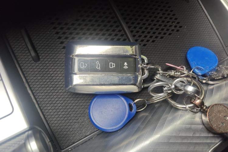 Used Tank 700 New Energy 2024 Hi4-T Extreme Edition Vehicle Key