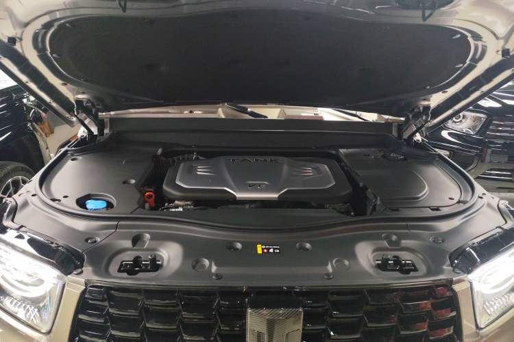 Used Tank 700 New Energy 2024 Hi4-T Extreme Edition Engine Bay