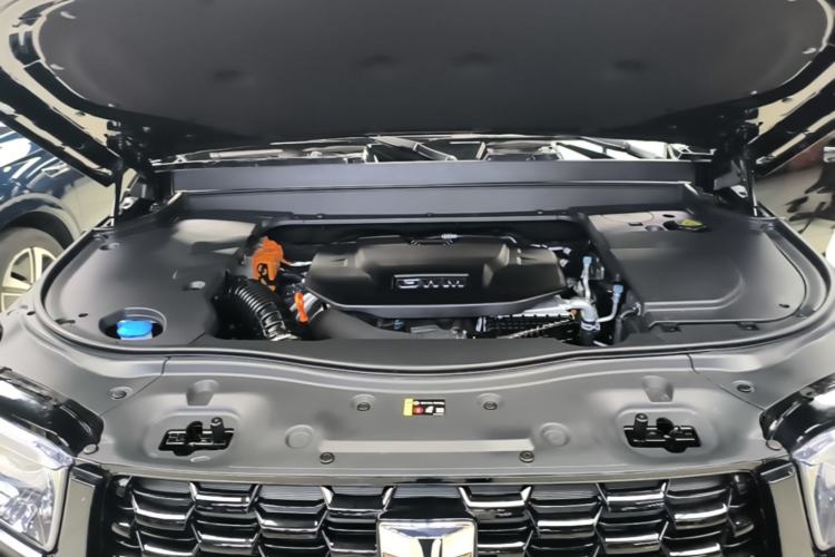 Used Tank 700 New Energy 2026 Model Hi4-Z Ultimate Version Engine Bay