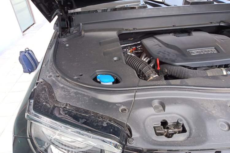 Used Tank 700 New Energy 2026 Model Hi4-Z Ultimate Version Engine Bay Right