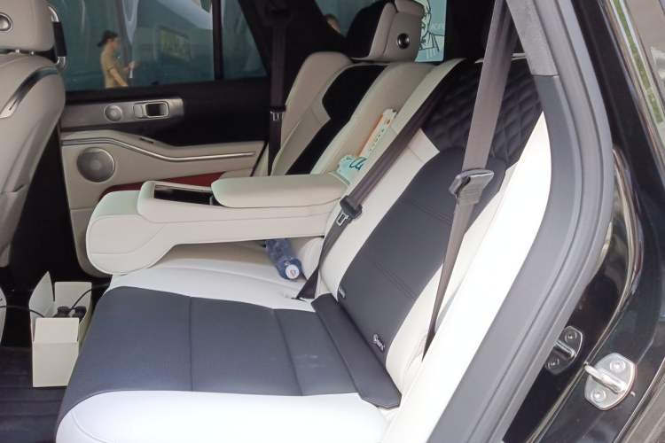 Used Tank 700 New Energy 2026 Model Hi4-Z Ultimate Version Left Rear Seat