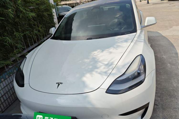 Used Tesla Model 3 2019 Standard Range Rear-Wheel Drive Upgraded Version (60 kWh) Exterior 1