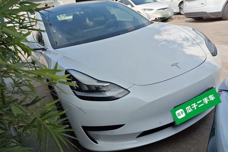Used Tesla Model 3 2019 Standard Range Rear-Wheel Drive Upgraded Version (60 kWh) Exterior 2
