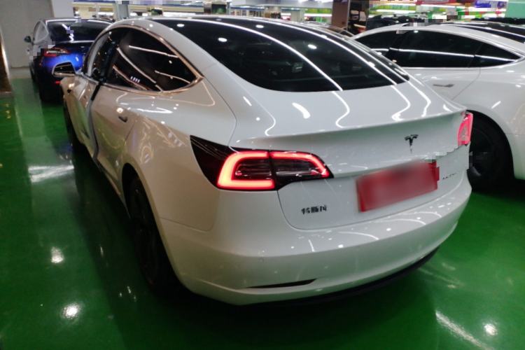 Used Tesla Model 3 2020 Standard Range Rear-Wheel Drive Upgraded Version Left Side