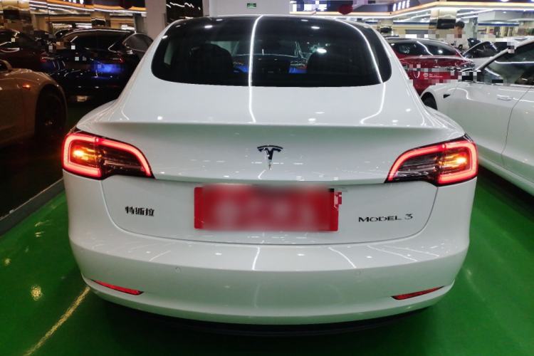Used Tesla Model 3 2020 Standard Range Rear-Wheel Drive Upgraded Version Rear