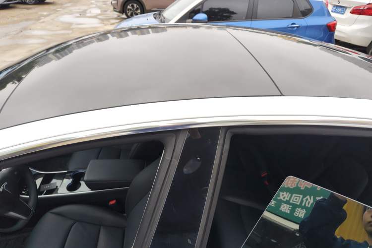 Used Tesla Model 3 2019 Long-Range All-Wheel-Drive Version Roof