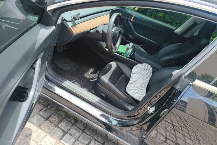 Used Tesla Model 3 2019 Standard Range Rear-Drive Upgraded Version Driver Seat