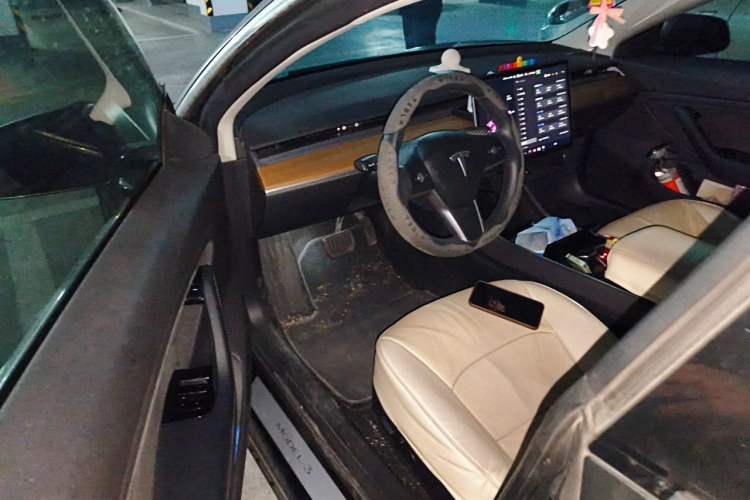 Used Tesla Model 3 2019 Long-Range Rear-Wheel-Drive Version Driver Seat