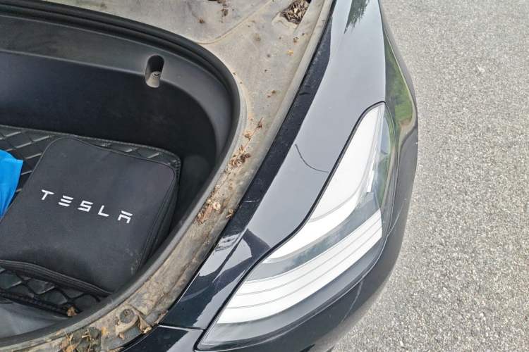 Used Tesla Model 3 2019 Standard Range Rear-Drive Upgraded Version Engine Bay Left