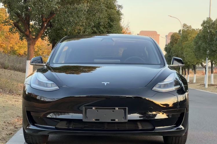 Used Tesla Model 3 2019 Standard Range Rear-Drive Upgraded Version Exterior 1