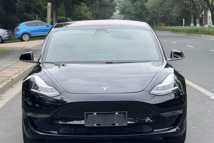 Used Tesla Model 3 2019 Long-Range Rear-Wheel-Drive Version Exterior 1