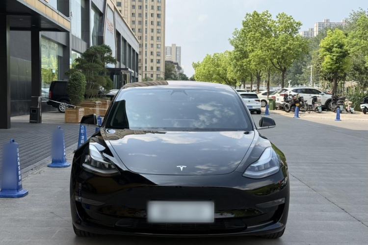 Used Tesla Model 3 2019 Long-Range Rear-Wheel-Drive Version Exterior 12