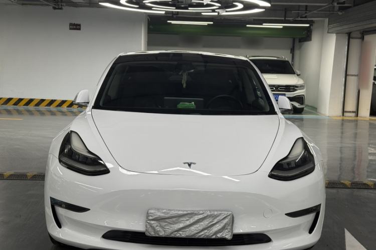Used Tesla Model 3 2019 Long-Range Rear-Wheel-Drive Version Exterior 3