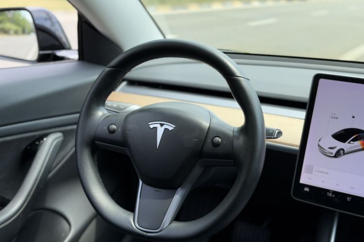 Used Tesla Model 3 2019 Long-Range All-Wheel-Drive Version Exterior 4