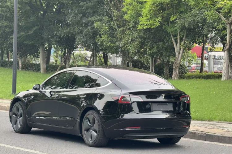 Used Tesla Model 3 2019 Long-Range Rear-Wheel-Drive Version Exterior 4