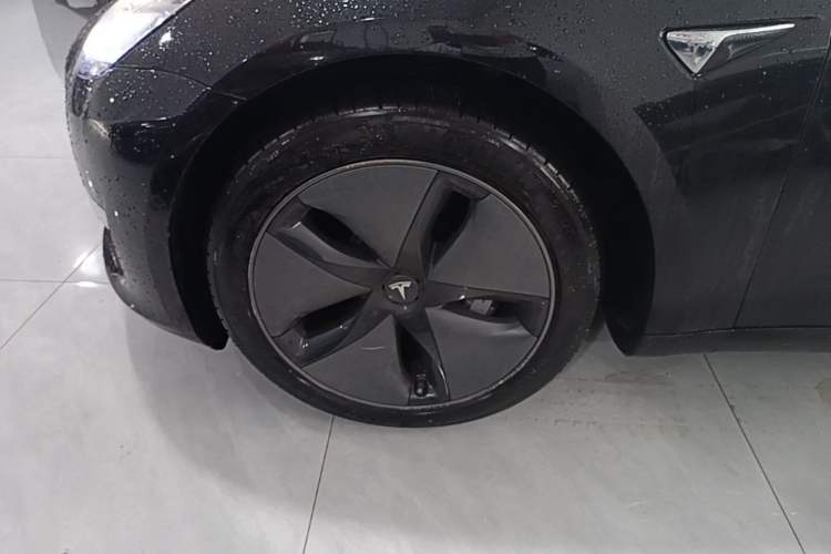 Used Tesla Model 3 2019 Long-Range All-Wheel-Drive Version Exterior 4