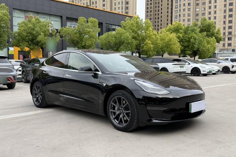 Used Tesla Model 3 2019 Long-Range Rear-Wheel-Drive Version Exterior 5