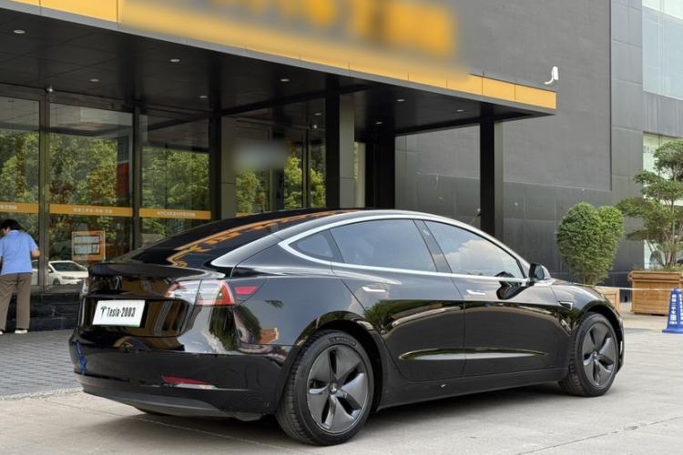 Used Tesla Model 3 2019 Long-Range Rear-Wheel-Drive Version Exterior 5