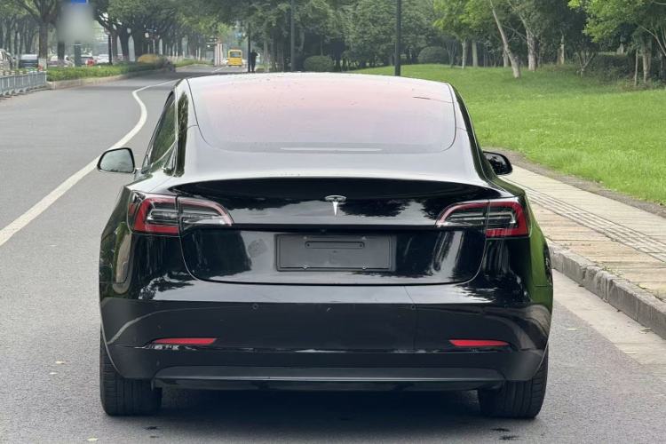 Used Tesla Model 3 2019 Long-Range Rear-Wheel-Drive Version Exterior 5