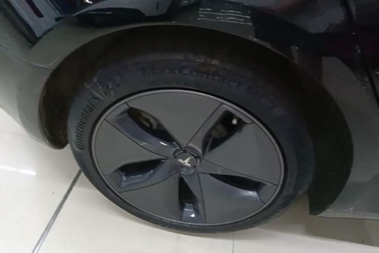 Used Tesla Model 3 2019 Long-Range Rear-Wheel-Drive Version Exterior 5