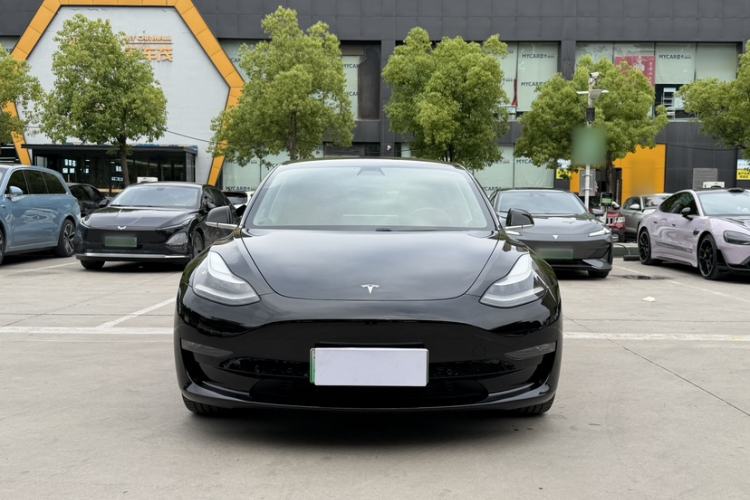 Used Tesla Model 3 2019 Long-Range Rear-Wheel-Drive Version Exterior 6