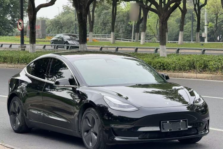 Used Tesla Model 3 2019 Long-Range Rear-Wheel-Drive Version Exterior 6