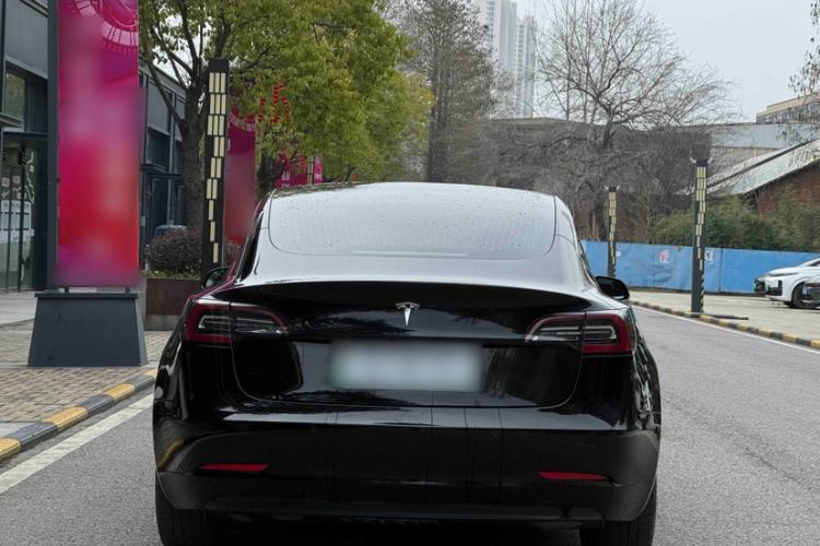Used Tesla Model 3 2019 Long-Range Rear-Wheel-Drive Version Exterior 7