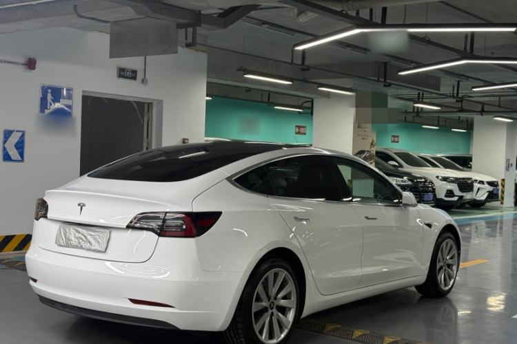 Used Tesla Model 3 2019 Long-Range Rear-Wheel-Drive Version Exterior 8