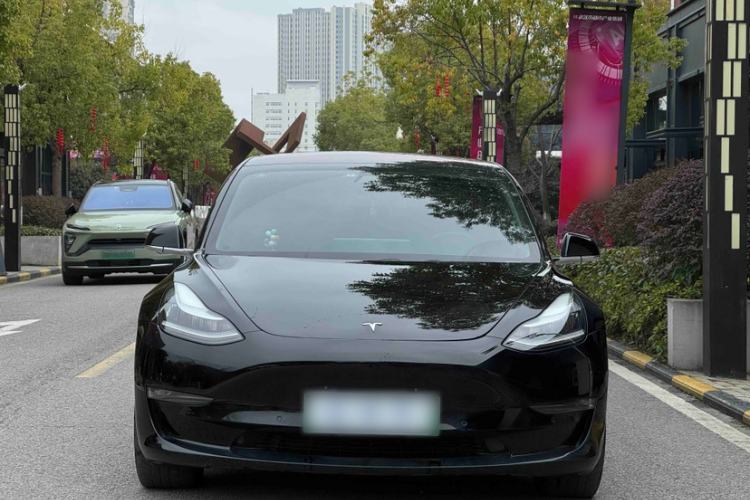 Used Tesla Model 3 2019 Long-Range Rear-Wheel-Drive Version Exterior 8