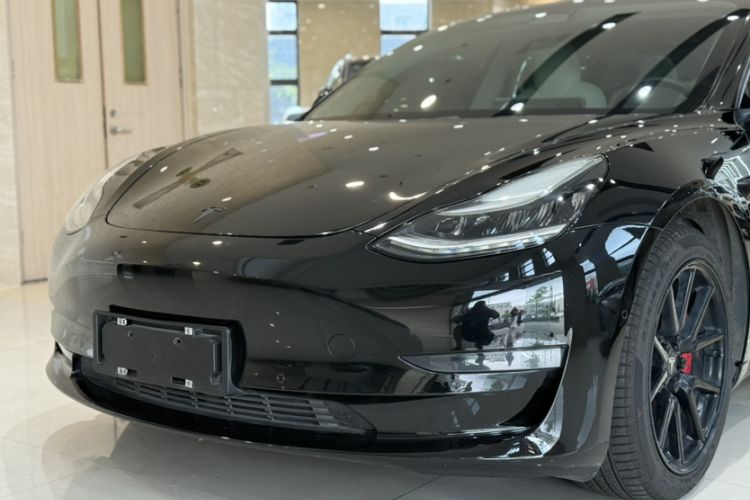 Used Tesla Model 3 2019 Long-Range All-Wheel-Drive Version Exterior 8