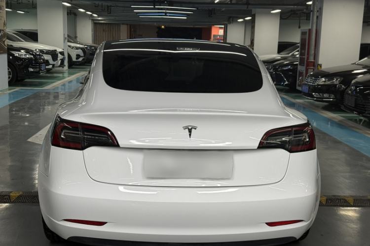 Used Tesla Model 3 2019 Long-Range Rear-Wheel-Drive Version Exterior 9