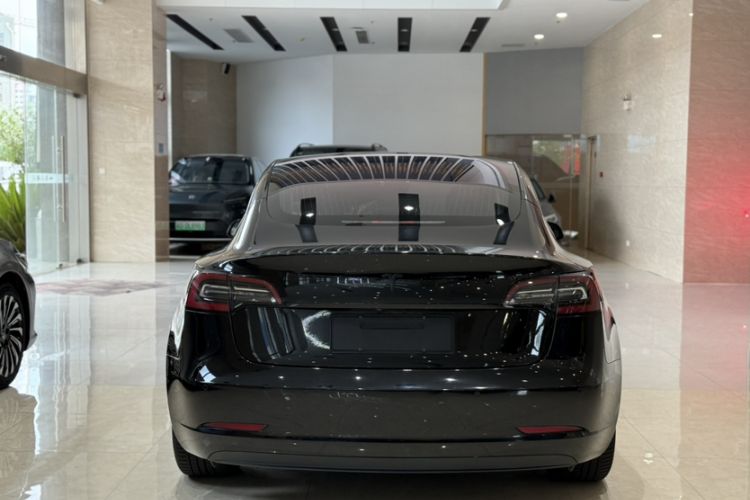 Used Tesla Model 3 2019 Long-Range All-Wheel-Drive Version Exterior 9